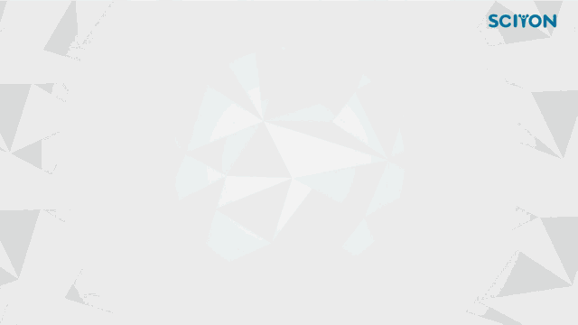 155047773010348279E2.gif